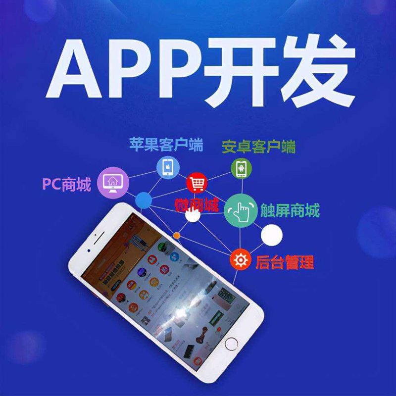 移动端程序开发